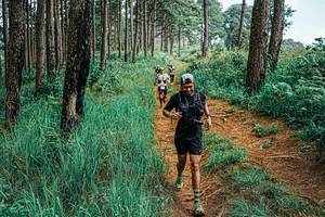 BIB: 
                            <button type="button" onclick="openModal(25655794)" class="btn btn-primary btn-sm float-right btn-popup" data-toggle="modal" data-target=".modal-high-quality">
                        <i class="fas fa-shopping-cart"></i> Add to Cart
                    </button>
                                            <button type="button" onclick="isThisMe(25655794, true)" class="btn btn-success btn-sm float-right btn-popup btn-isme hidden" data-toggle="tooltip" data-placement="bottom" title="นี่คือรูปของคุณใช่ไหม คลิกที่นี่เพื่อเอาเข้าอัลบั้ม">
                        <i class="fas fa-plus"></i> Add to album
                    </button>
                    <button type="button" onclick="isThisMe(25655794, false)" class="btn btn-warning btn-sm float-right btn-popup btn-isnotme hidden">
                        <i class="fas fa-ban"></i> Remove from album
                    </button>